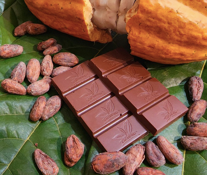 chocolate-da-amazonia